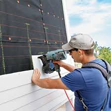 Best Siding for New Construction  in Newport, MN